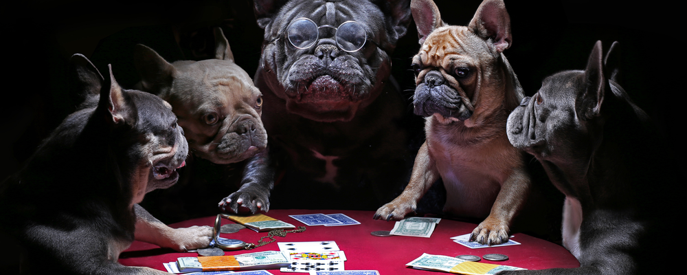 nettipokeri